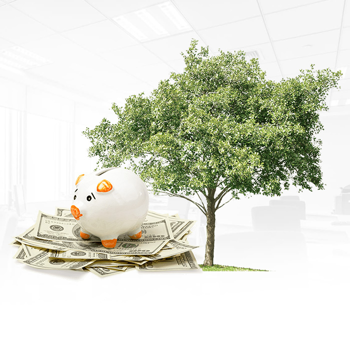 Landing Page для курсов кредитных брокеров