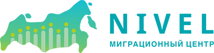 Логотип Nivel