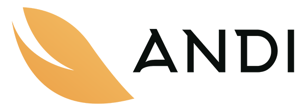 Логотип ANDI