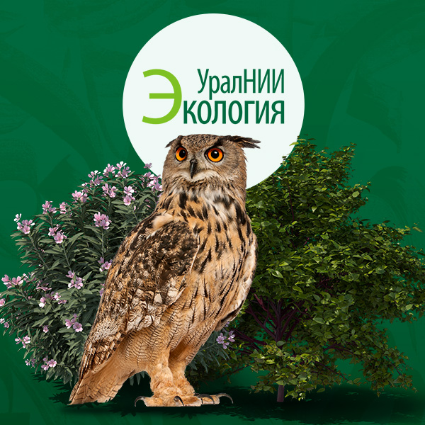 Сайт для научно-исследовательского института