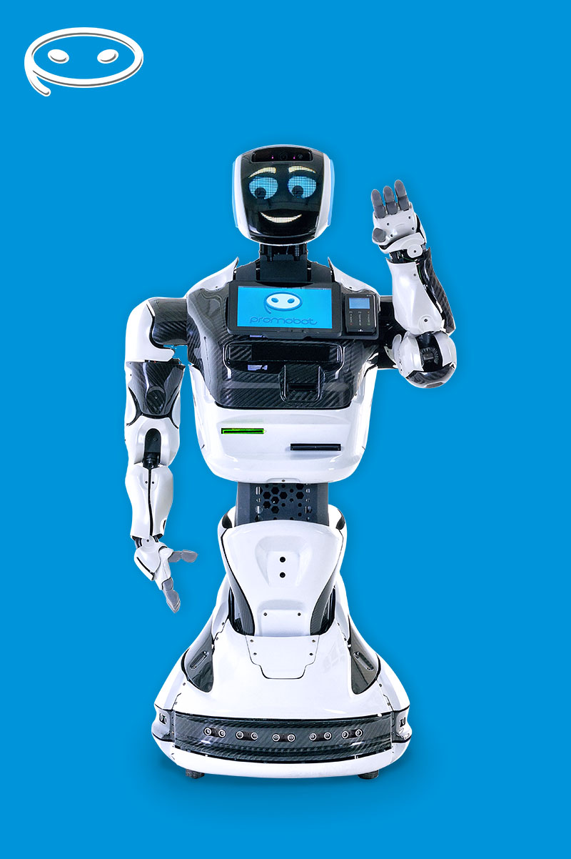 Создание группы сайтов для производителя сервисных роботов Promobot