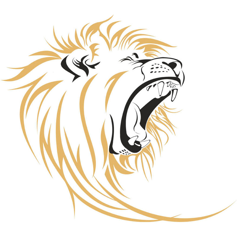 Интернет-магазин по продаже картов