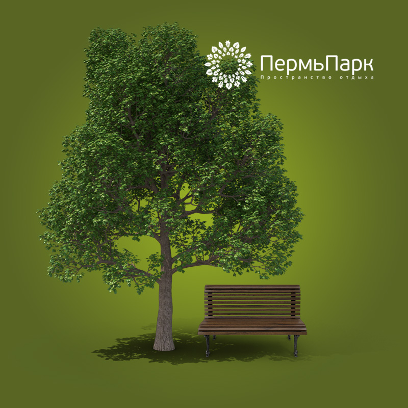 Сайт для муниципального учреждения