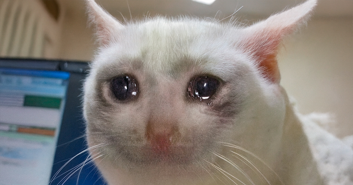 Прекращаем поддержку сервиса Web Printer