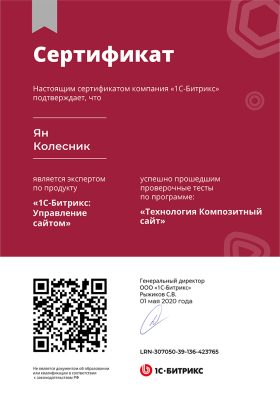 Технология Композитный сайт